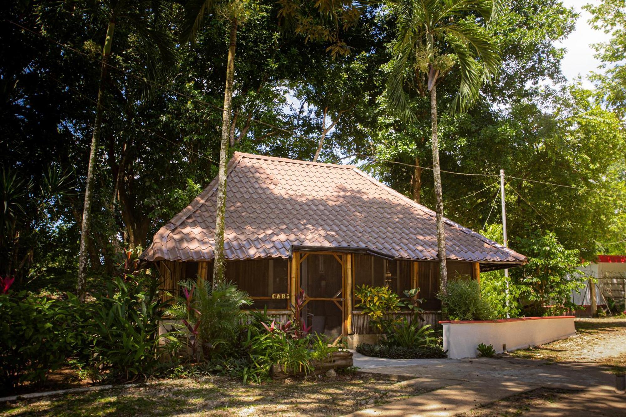 Falling Leaves Lodge ซานอิกนาซิโอ ภายนอก รูปภาพ